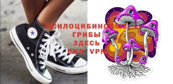 прущие крисы Белоозёрский