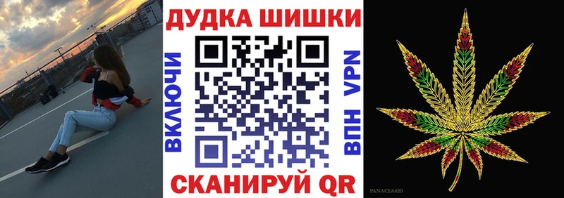 Канабис планчик  Куса 